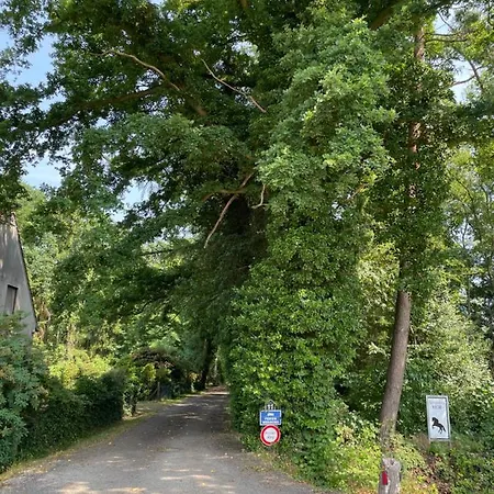 Steffens Hof Appartement