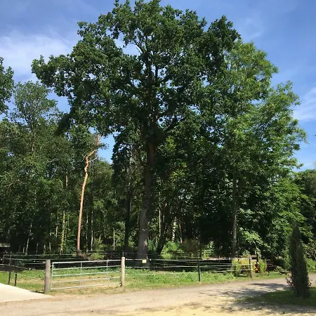 Apartment Steffens Hof *