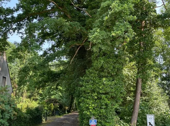 Steffens Hof Apartment